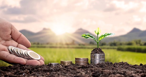 Στα 590 εκατ. ευρώ ο προϋπολογισμός του νέου προγραμμάτων για τους «Νέους Αγρότες» - Οι προϋποθέσεις και οι δεσμεύσεις των δικαιούχων