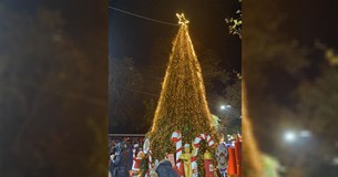 Εντυπωσιακή η φωταγώγηση του Χριστουγεννιάτικου δέντρου στη Θήβα (Βίντεο)