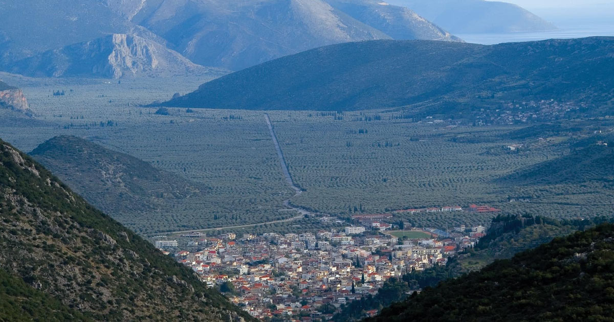 Συγκροτήθηκε το Δ.Σ. του Φορέα Διαχείρισης Παραδοσιακού Ελαιώνα Αμφισσας 