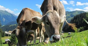 Ερώτηση της Ε.Ο. του ΚΚΕ για τα προβλήματα των αγροτών-κτηνοτρόφων