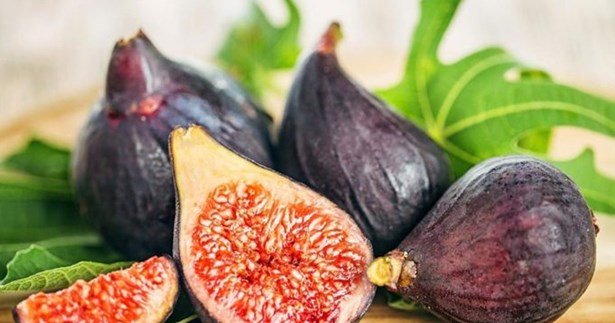 Σε αφανισμό οδηγείται η συκοκαλλιέργεια της Β. Εύβοιας, σύμφωνα με τον Β. Αποστόλου