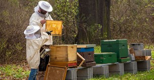 Γ. Σαρακιώτης: «25.000 οικογένειες μελισσοκόμων σε απόγνωση»