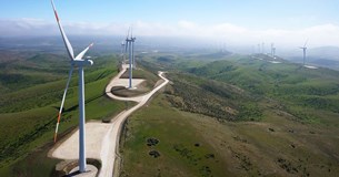 Ερώτηση του Βουλευτή της Ελληνικής Λύσης Βιλιάρδου Βασίλειου για την αναδάσωση στον Δήμο Διστόμου - Αράχωβας - Αντίκυρας