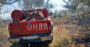 Πυρκαγιά σε αγροτοδασική έκταση ξέσπασε στην Αλίαρτο (Φωτό)