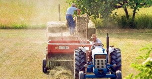 Καταβλήθηκαν αποζημιώσεις 38 εκατ. ευρώ από τον ΕΛΓΑ για ζημιές φυτικής παραγωγής και ζωικού κεφαλαίου του 2023