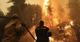 Κατατέθηκε ομαδική μήνυση για την καταστροφική πυρκαγιά στην Βόρεια Εύβοια το 2021