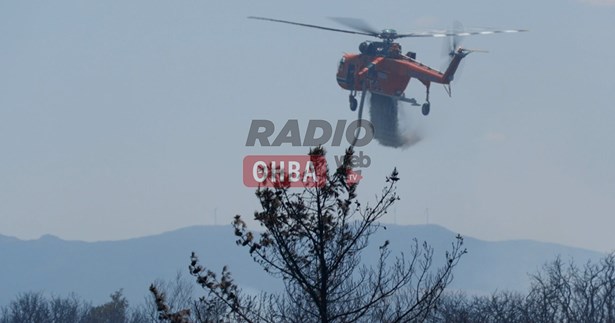 Μεγάλη κινητοποίηση της Πυροσβεστικής σε φωτιά στην Υλίκη