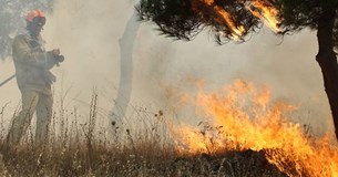 Μεγάλη φωτιά σε αγροδασική περιοχή στον Υψηλάντη Βοιωτίας
