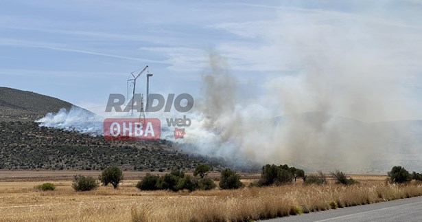 Φωτιά σε δασική έκταση δίπλα στην ΒΙ.ΠΕ. Θίσβης