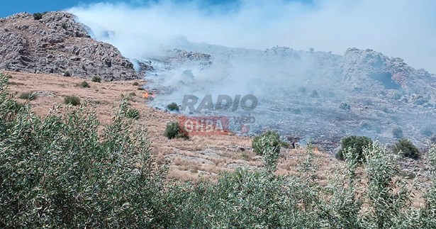 Φωτιά στο Ακόντιο όρος στη Λιβαδειά