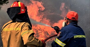 Ξέσπασε φωτιά έξω από τη Θήβα - Ισχυρές πυροσβεστικές δυνάμεις στο σημείο