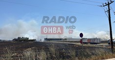 Ξέσπασε μεγάλη φωτιά έξω από την Θήβα - Ισχυρές πυροσβεστικές δυνάμεις επιχειρούν στο σημείο (Βίντεο-Φωτό)