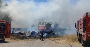 Φωτιά σε αγροτική περιοχή στη Θήβα (Φωτογραφίες - Βίντεο)