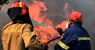 Έκτακτο: Ξέσπασε φωτιά στην Ασωπία Βοιωτίας
