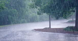 Ισχυρές βροχές και καταιγίδες αύριο στην Βοιωτία - Ενημέρωση και Οδηγίες του Δήμου Θηβαίων προς τους πολίτες