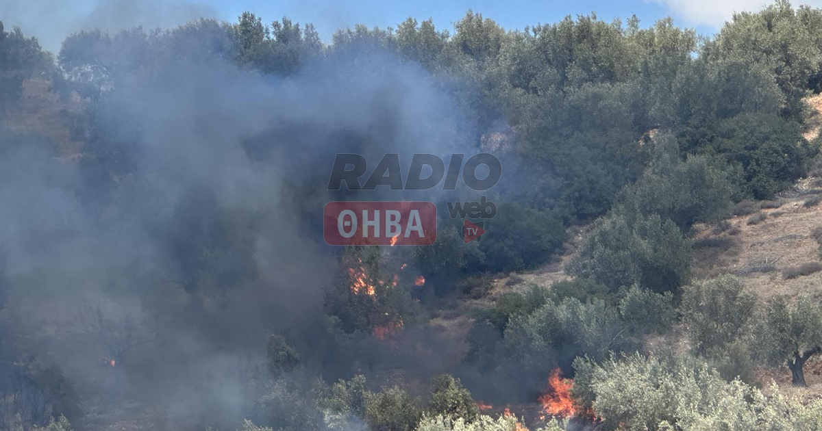 Ξέσπασε φωτιά σε ελαιώνα στην Ελλοπία (Βίντεο-Φωτό)