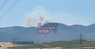 Μεγάλη φωτιά στον Κιθαιρώνα - Το τεράστιο σύννεφο καπνού είναι ορατό από την Θήβα