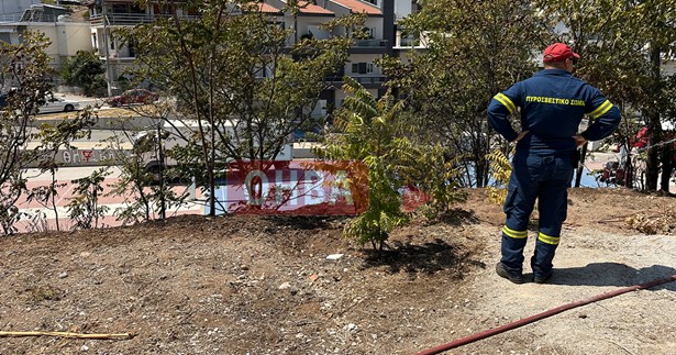 Φωτιά δίπλα στον χώρο της Εμποροπανήγυρης στη Θήβα(Βίντεο)