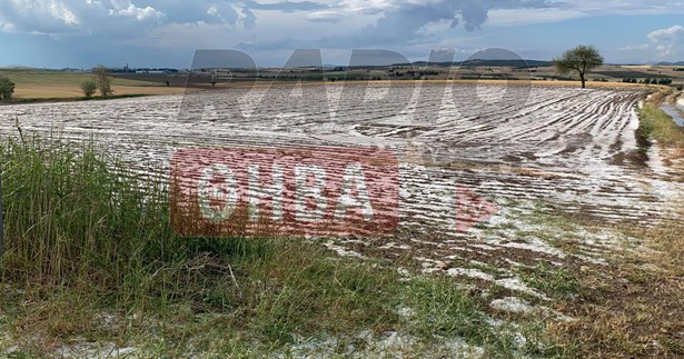 Τεράστιες καταστροφές από το χαλάζι στη Βοιωτία - Στη Βουλή έφερε το θέμα ο Γιώργος Μουλκιώτης