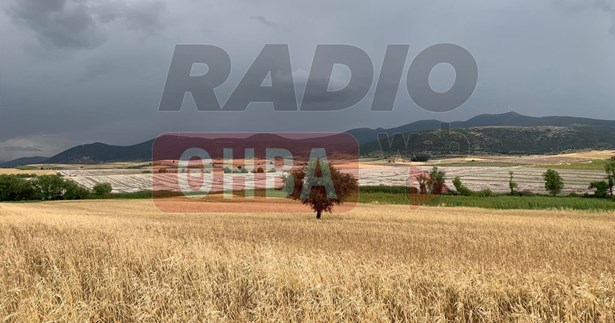 8.450 στρέμματα καταστράφηκαν στη Βοιωτία - Καταγραφή των ζημιών από την Π.Ε Βοιωτίας