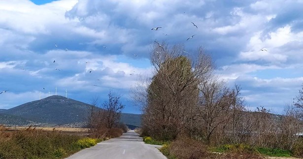 Τα πρώτα στοιχεία για την διεξαγωγή της άρδευσης της Κωπαΐδας