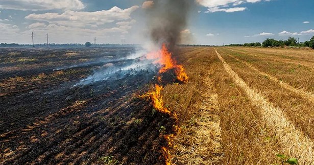 Την προσοχή εφιστά η Π.Ε. Βοιωτίας για την καύση καλλιεργειών λόγω αυξημένης θερμοκρασίας