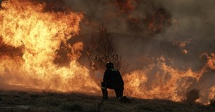 Έκτακτο: Ισχυρή πυρκαγιά στη Θίσβη Βοιωτίας