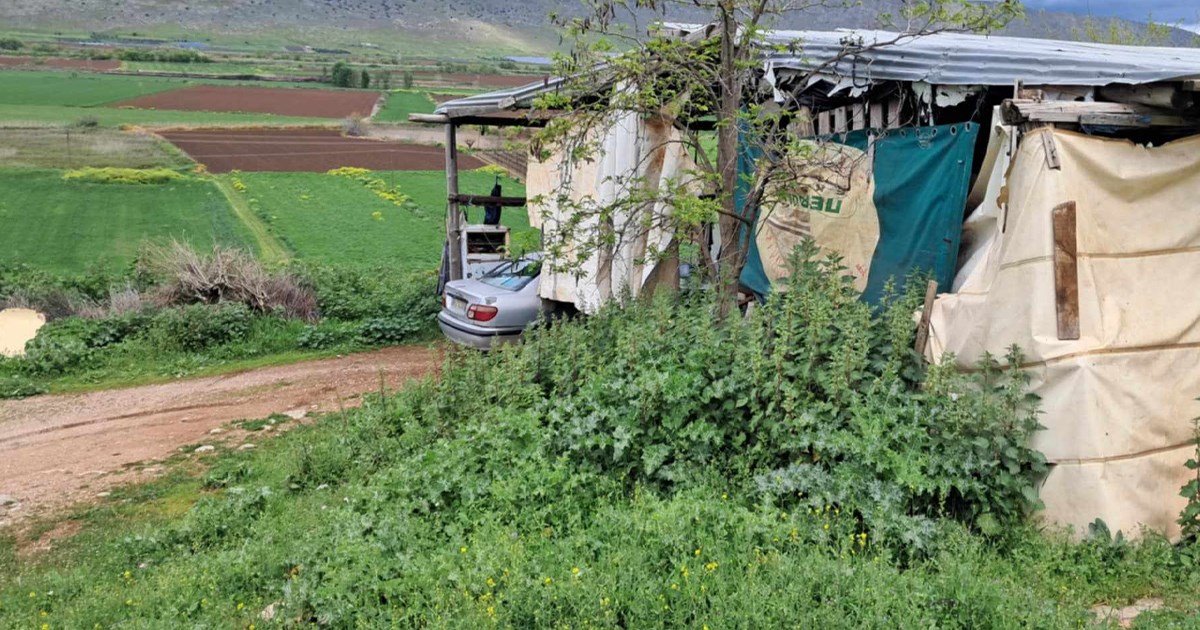 Ζωοκλοπή στο Θούριο Λιβαδειάς - Έφυγαν με 10 αρνιά στην πλάτη Ζωοκλοπή στο Θούριο Λιβαδειάς - Έφυγαν με 10 αρνιά στην πλάτη