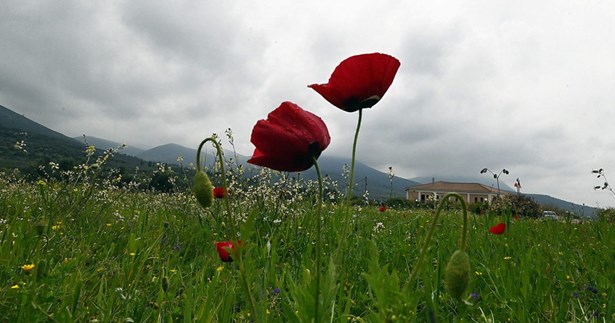 Ο καιρός αυτή την εβδομάδα στη Βοιωτία - Δείτε σε ποιες περιοχές θα βρέξει και πότε