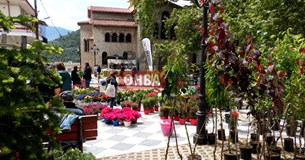 6η ανθοκομική εκθεση στη Δαυλεια (ΦΩΤΟ)