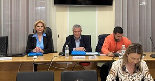Στο Δ.Σ. του Δήμου Χαλκιδέων οι κατολισθήσεις σε τμήμα της οδού Ανθέων στην Έξω Παναγίτσα