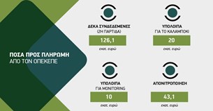 Διέξοδο στις πληρωμές με πιστώσεις έως την Παρασκευή για όλες τις συνδεδεμένες και εξόφληση στα νιτρικά