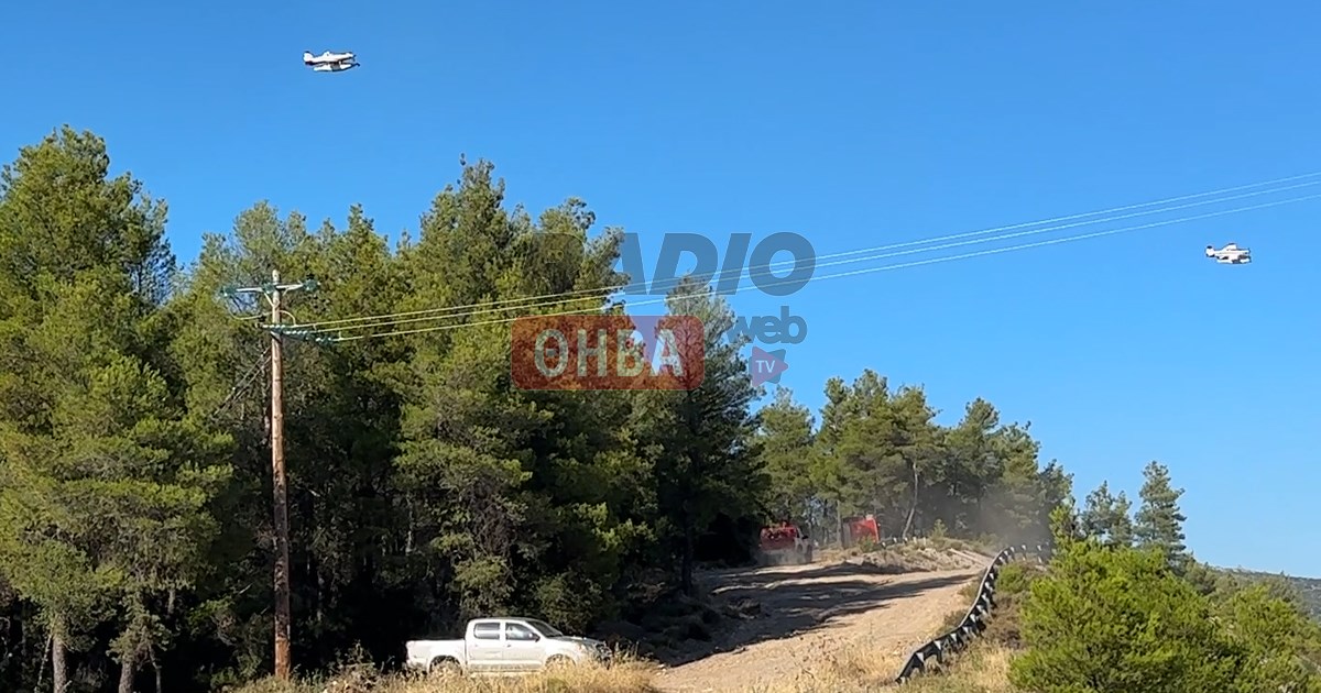 Ξέσπασε φωτιά στο Μοσχοπόδι - Στο σημείο εναέριο μέσα (ΒΙΝΤΕΟ) Ξέσπασε φωτιά στο Μοσχοπόδι - Στο σημείο εναέριο μέσα (ΒΙΝΤΕΟ)