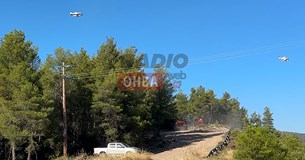 Ξέσπασε φωτιά στο Μοσχοπόδι - Στο σημείο εναέριο μέσα (ΒΙΝΤΕΟ)