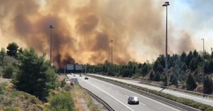 Περιορίστηκε η φωτιά στο Μαρτίνο Φθιώτιδας - Aνοιξε η Εθνική Οδός Αθηνών-Λαμίας