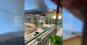 Συνελήφθη 55χρονος μελισσοκόμος για την πυρκαγιά στην Αλυκή Βοιωτίας