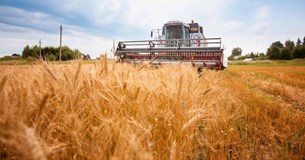 Εκκρεμότητες και υπόλοιπα πληρωμών ενισχύσεων 2024 και εξέλιξη ΟΣΔΕ 2025