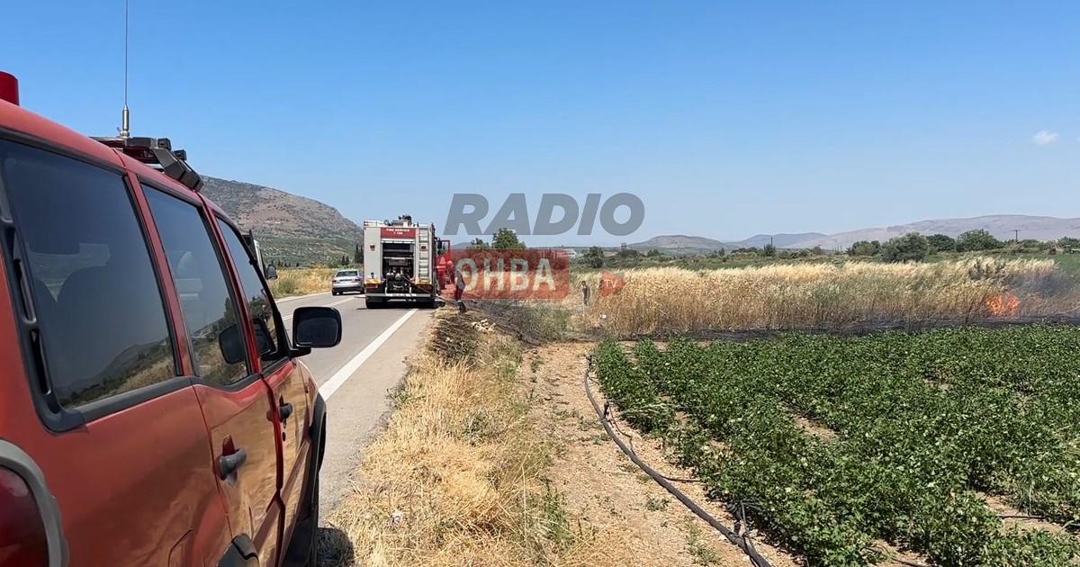 Ξέσπασε φωτιά στην Αγία Παρασκευή Λιβαδειάς (ΒΙΝΤΕΟ) Ξέσπασε φωτιά στην Αγία Παρασκευή Λιβαδειάς (ΒΙΝΤΕΟ)