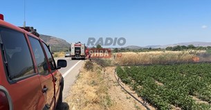 Ξέσπασε φωτιά στην Αγία Παρασκευή Λιβαδειάς (ΒΙΝΤΕΟ)