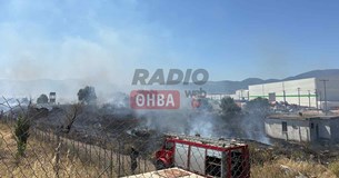 Έκτακτο: Ξέσπασε φωτιά κοντά στο Hot Spot Θήβας (ΦΩΤΟ-ΒΙΝΤΕΟ)