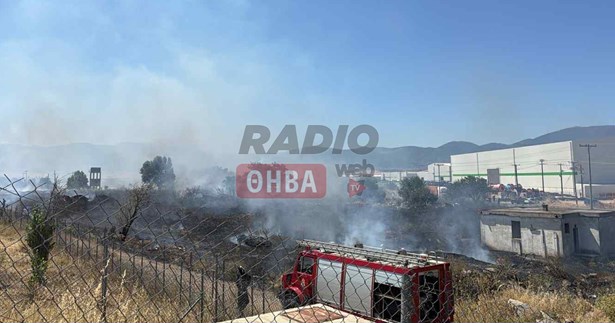 Έκτακτο: Ξέσπασε φωτιά κοντά στο Hot Spot Θήβας (ΦΩΤΟ-ΒΙΝΤΕΟ)