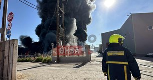 Έκτακτο: Ξέσπασε πυρκαγιά σε εργοστάσιο στη Ριτσώνα (ΒΙΝΤΕΟ-ΦΩΤΟ)