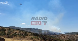 Έκτακτο: Ξέσπασε φωτιά κοντά στα ΧΥΤΑ Θήβας - Στο σημείο μεγάλη πυροσβεστική δύναμη