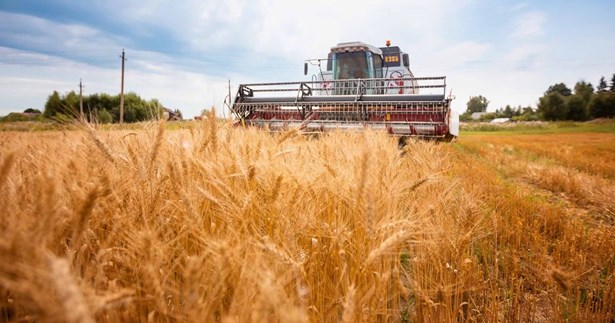 «Θα ελεγχθούν όλοι όσοι εμπλέκονται στον ΟΠΕΚΕΠΕ» τονίζει ο Υπ.ΑΑΤ