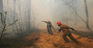 Έκτακτο: Πυρκαγιά στην Κάρυστο Ευβοίας