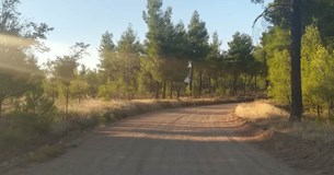 Το ΚΕΠΒ Θήβας επιτηρεί το Μοσχοπόδι λόγω υψηλής επικινδυνότητας πυρκαγιάς