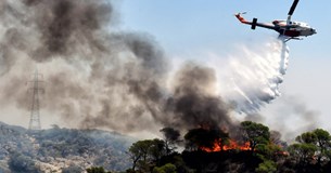 Ξεκίνησε η διαδικασία αιτήσεων αποζημίωσης για πυρόπληκτες επιχειρήσεις και αγροτικές εκμεταλλεύσεις στην Εύβοια