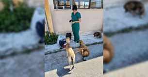 Υγειονομικός έλεγχος και φροντίδα για τα αδέσποτα ζώα στο ΚΕΠΒ Θήβας