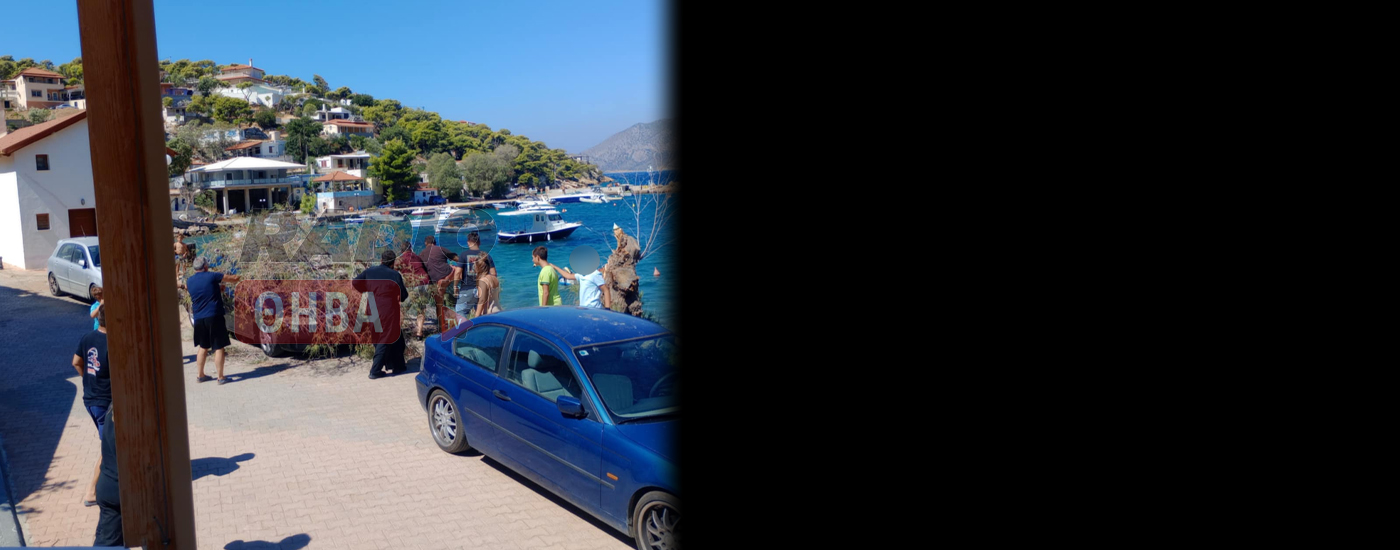 Δέντρο έπεσε από τον αέρα και χτύπησε ηλικιωμένο στον Αγ. Βασίλη Θήβας
