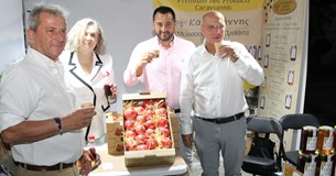 Η Στυλίδα στο επίκεντρο του Φεστιβάλ Γαστρονομίας Στερεάς Ελλάδας